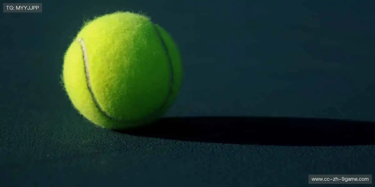 👟潮流装备,个性定制!从球鞋到球衣,打造专属你的运动风格!🎾